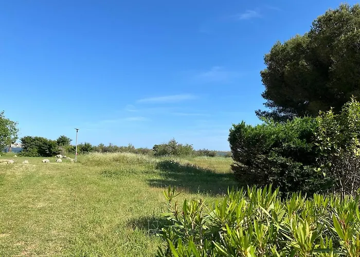 Ferienhaus 575 6 A 8 Pers, Wifi, 4 Etoiles Des Reves Lattes