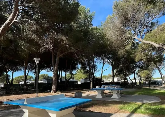 575 6 A 8 Pers, Wifi, 4 Etoiles Des Reves *